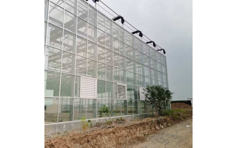 某设施农业作物运营托管